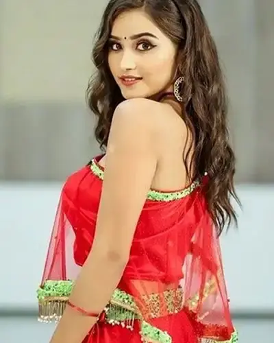 Escort In Electronic City